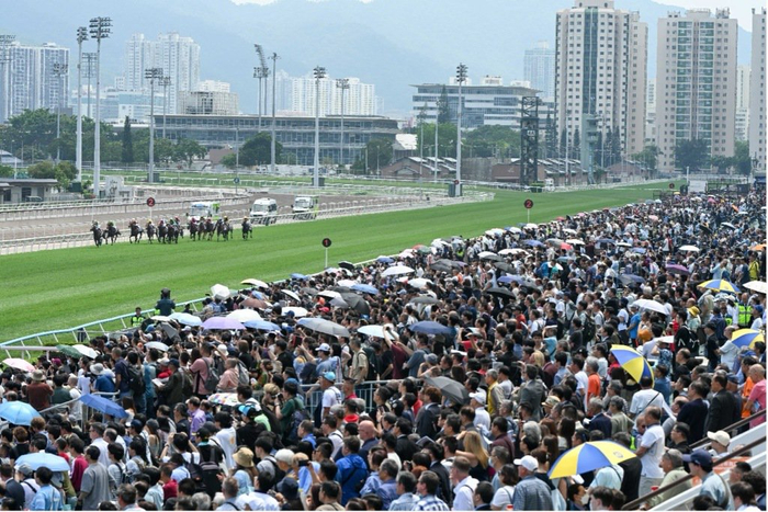 万博体育-连续三年入选香港盛事年表，这场赛马活动为什么能持续火爆|富卫保险|香港赛马会|赛马会|体育|比赛_新浪体育_新浪新闻